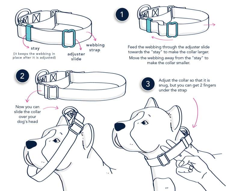 Martingale Collar Collars by Chris
