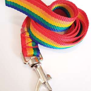 Webbing Collar & Lead